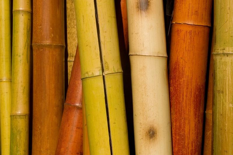  Offrir un modelage aux bambous pour la Fête des Mères à Aix en Provence